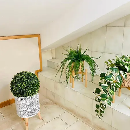 Silvo's House * ポントレーモリ