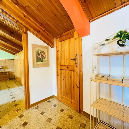 Silvo's House